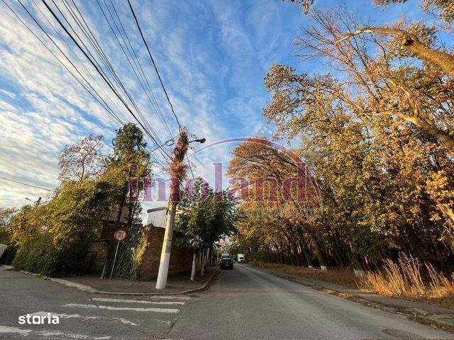 Teren de vanzare Colentina Padurea Andronache