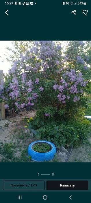 Продаётся дачный участок