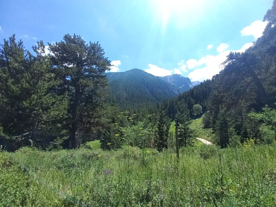 Топ парцел Тетевен- Рибарица