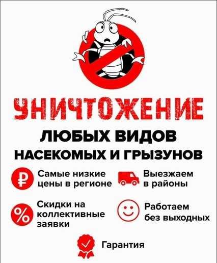 Выезд специалиста сегодня Дезинфекция клопов крыс муравьев тараканов