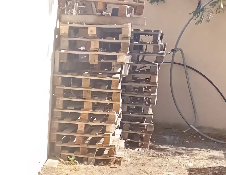 Paleti lemn (Euro/Non euro)