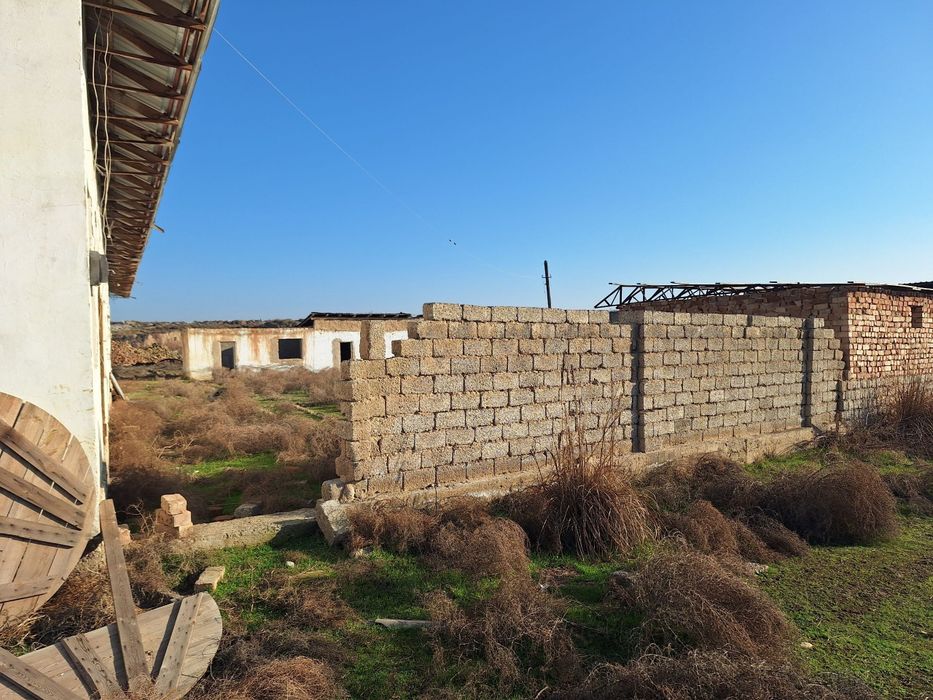 Chinoz tumani 2.90 gektar yer