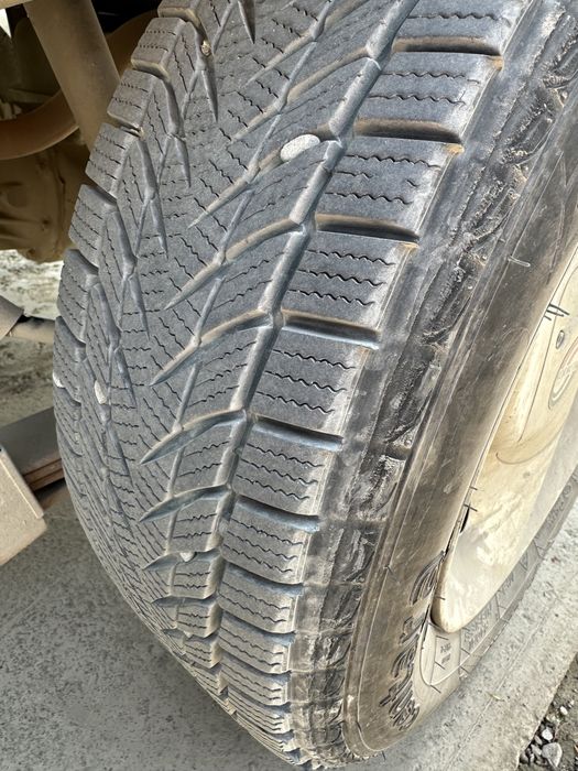 Лабо 2022 22 декабир салондан чикган хайдашга таййор