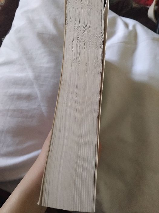 Книга «Демон из Пустоши» — состояние новое