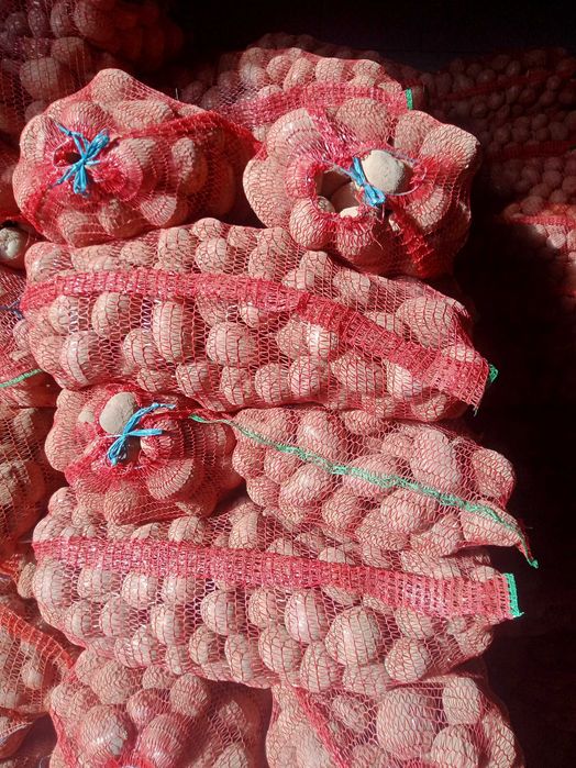 Cartof  rosu  si alb de vinzare