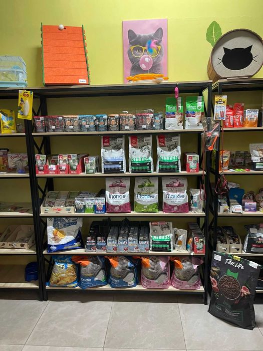 Продается готовый бизнес ЗООбутик