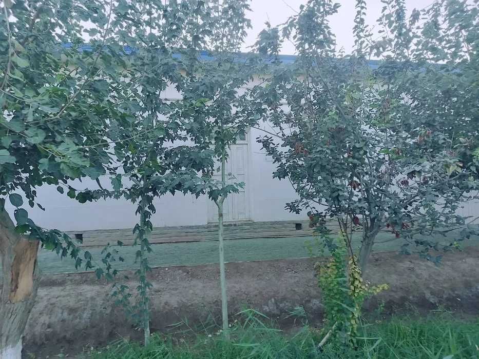 Barcha qulayliklarga ega hovli joy sotiladi (450mln pulini galishamiz)