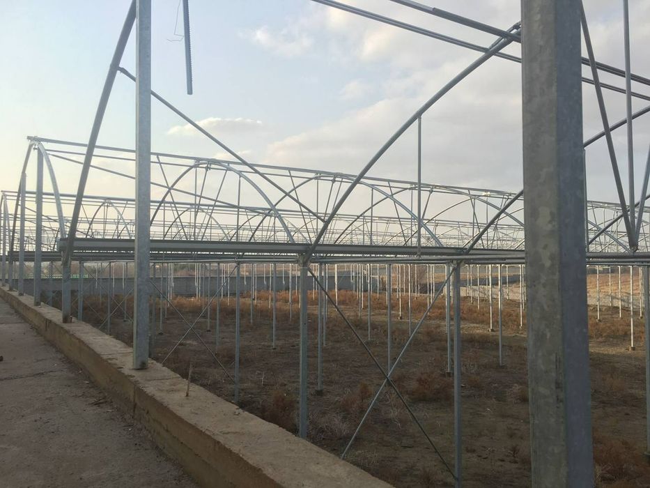 Teplisa eron teplisa 1 gektar