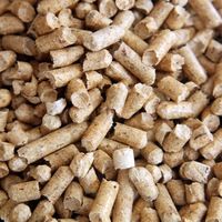 Наполнитель для кошачьего лотка