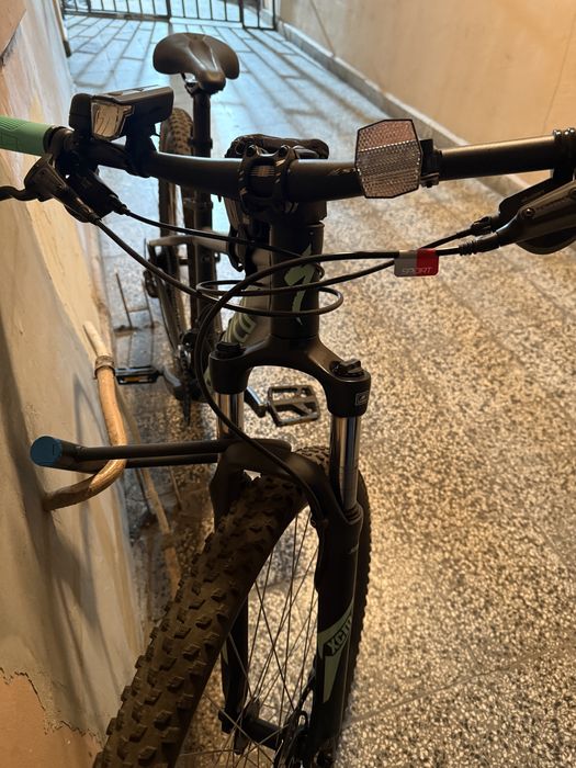 Spealized rockhopper 29 (M)