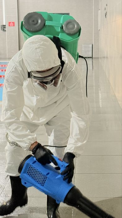 Обработка от вредителей