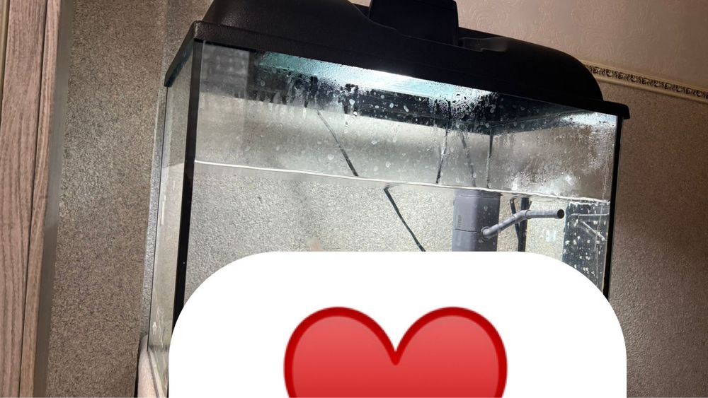 Продаю аквариум вместе с фильтром