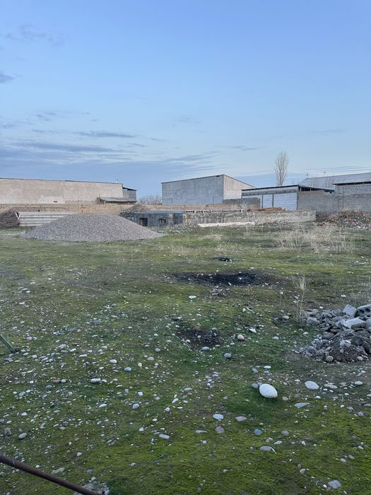 Yangi hayot soʻtigi 12000 dan