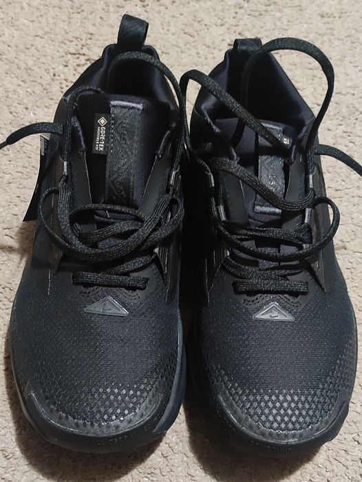 Nike Pegasus Trail 5 Gore-Tex