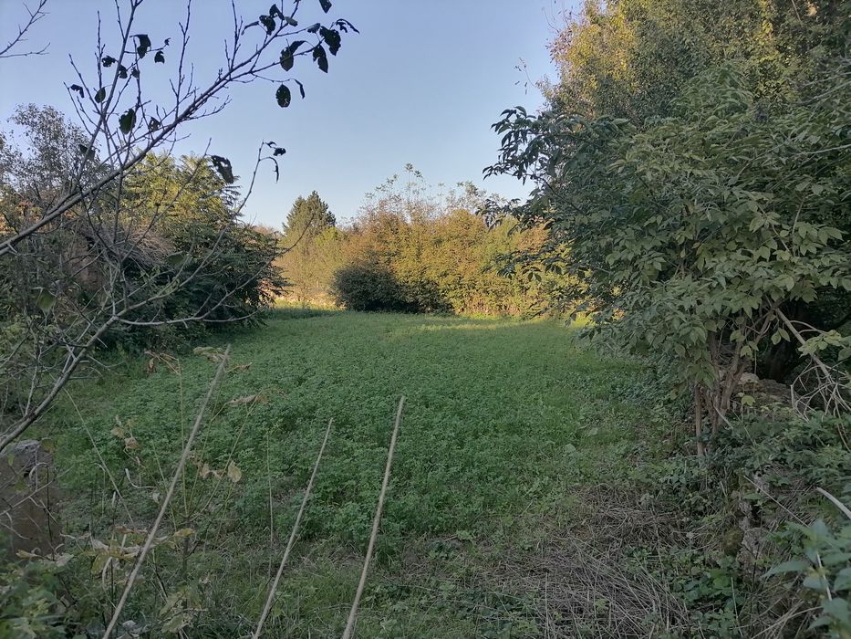 Продава се Къща в Берковица - 60 кв.м за 85 €/кв.м - Снимка #5