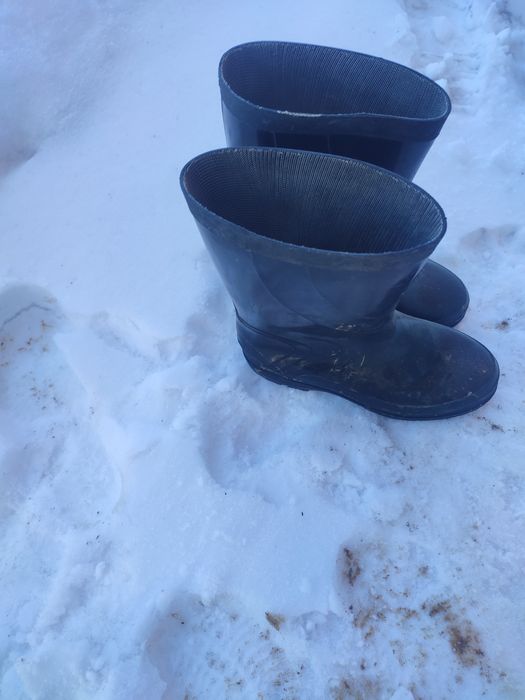 Резиновые сапоги