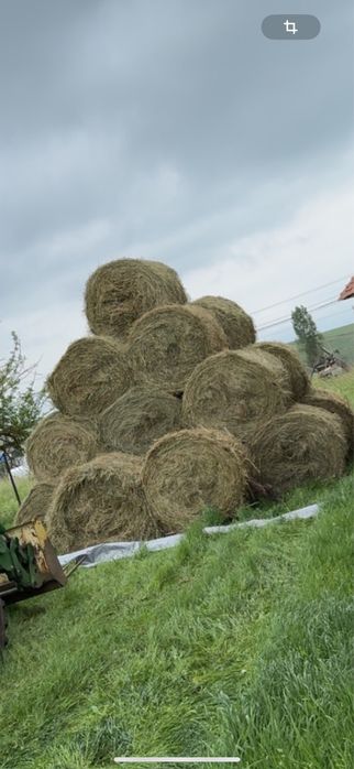 Baloti lucerna 120x120