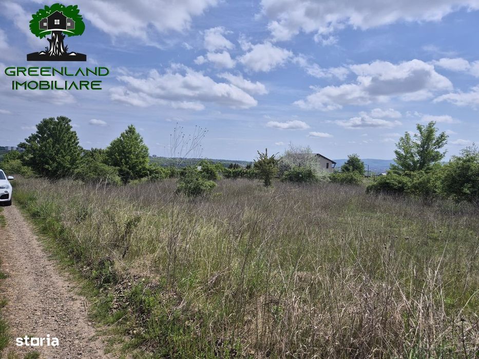 Teren intravilan, 500 mp, forma patrata, plat, Rediu