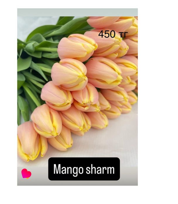 Тюльпаны оптом к 8 марта