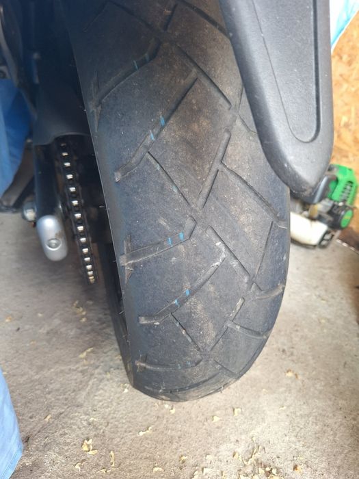 Suzuki Gladius SFV