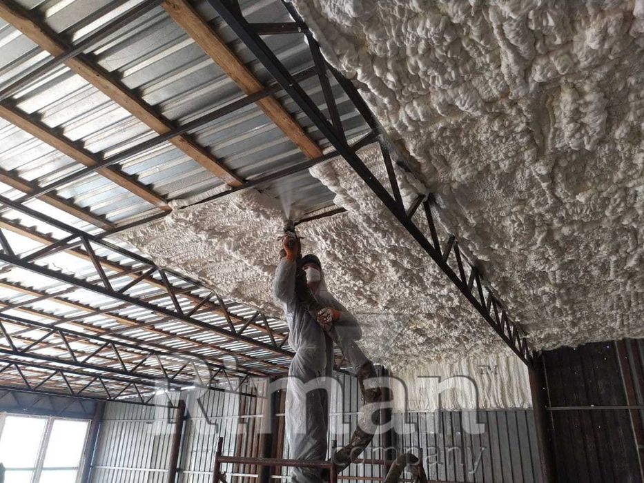 Профессиональное утепление крыши ППУ (пеной) Riberg, - Cтроительные ...