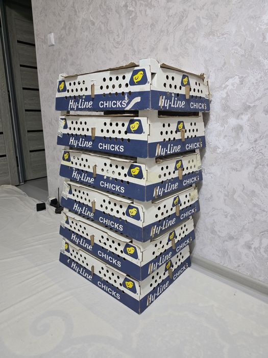 Сертухум Макён Хай-лайн жужалари сотилади