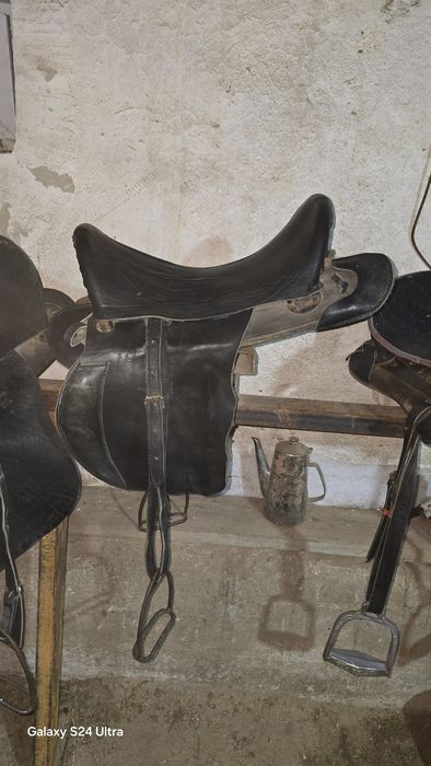 Ер тоқым сатылады