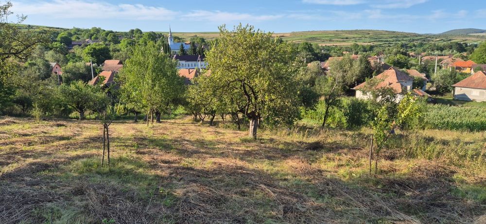 Vind casa Filea de Jos , teren suprafata 1800mp