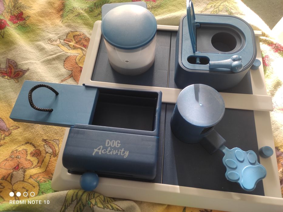 Joc activitate caini