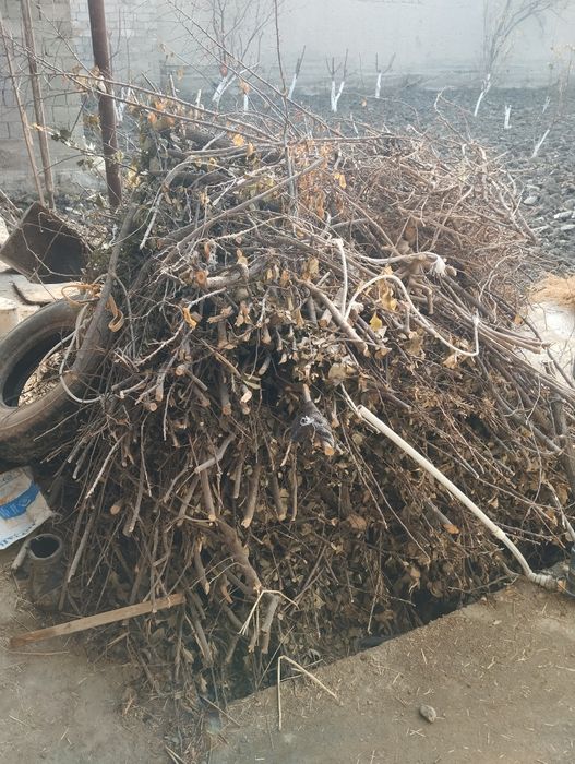 Quruq oʻtin sotiladi narxi kelishiladi