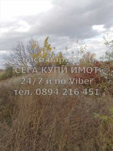 Земеделски масив 41дка със стари рибарници - код 61685