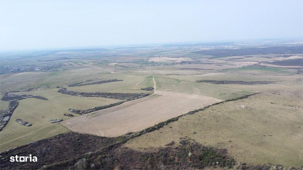 Teren 26.82 ha Ardud | Oportunitate pentru dezvoltare