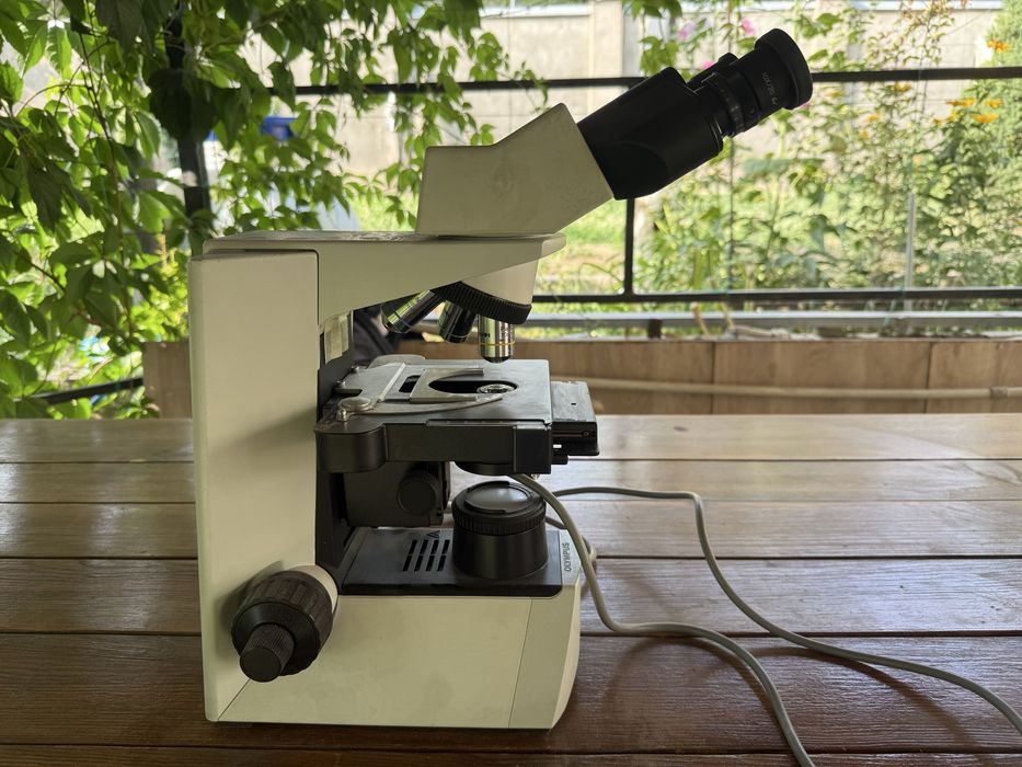 Микроскоп Olympus СХ 31