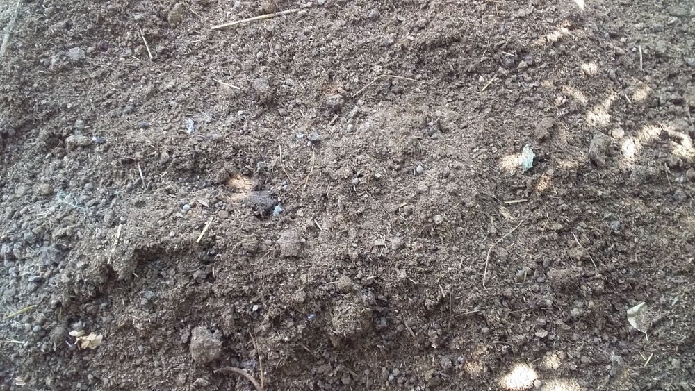 Top toza gõng qõy mol har hilidan qilib beramiz