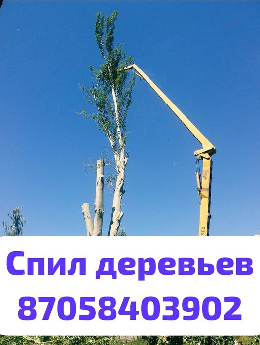 Пилим аварийные деревья