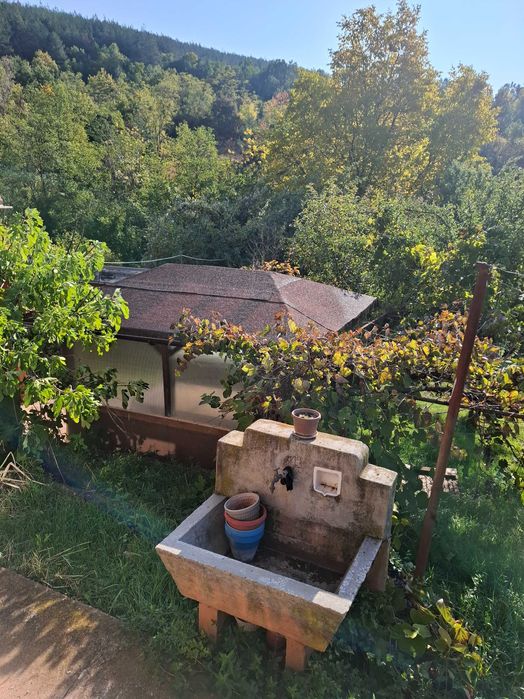 Къща с двор за продажба в с. Светля, Община Ковачевци.