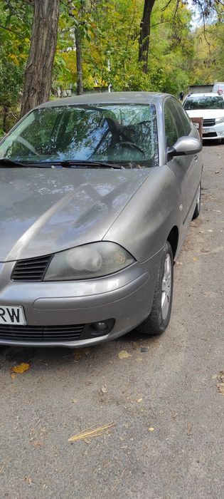 SEAT Ibiza 2006 — imagine 2
