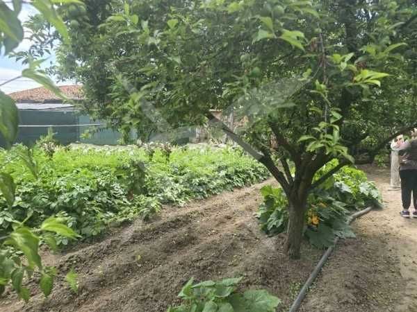 Продава се Къща в с. Трилистник, Област Пловдив - 145 кв.м за 687 €/кв.м - Снимка #4