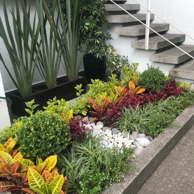 Садовник Богбон.формирование деревьев,уход за садом