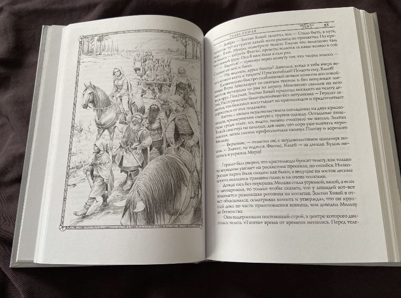 Книга «Ведьмак. Крещение огнем».