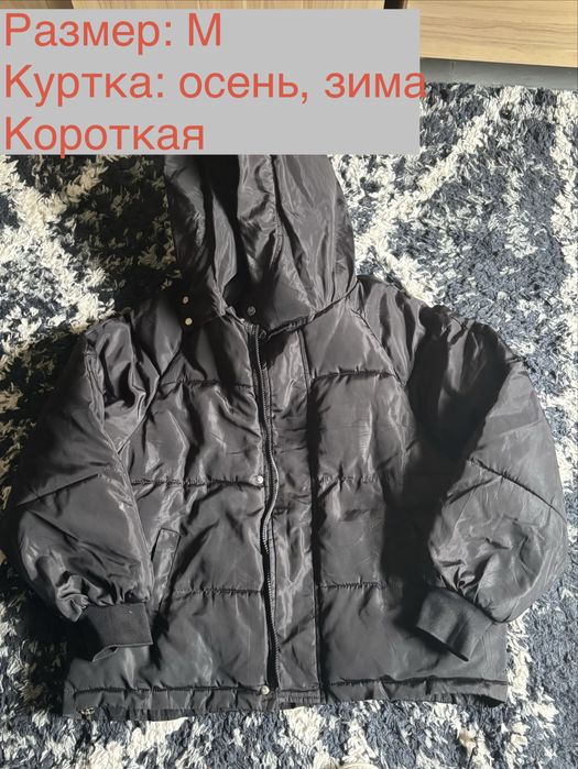 Куртки, пальто, шуба