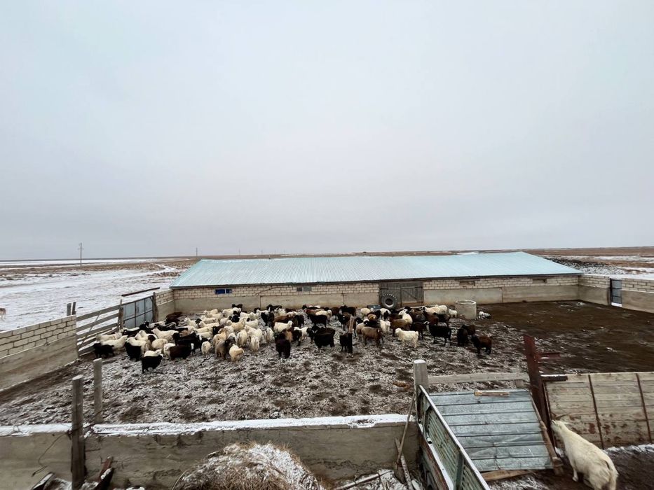 Шаруа Қожалығы сатылады