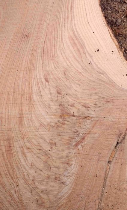 Продавам сух и мокър дървен материал ясен, бряст, дъб, орех, гледичия