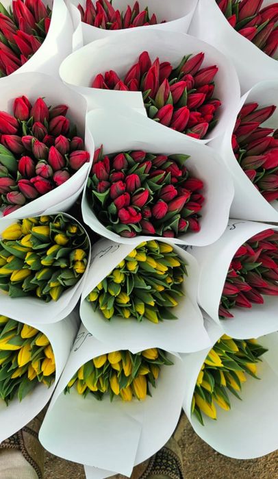 Тюльпаны по оптовой цене в розницу..