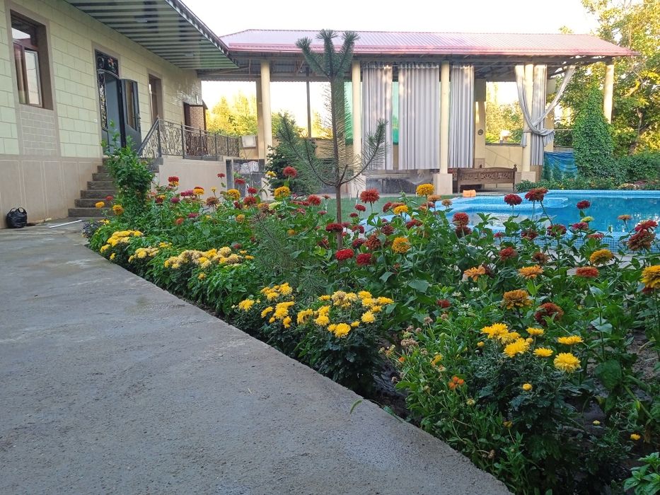 Дача октош oqtosh