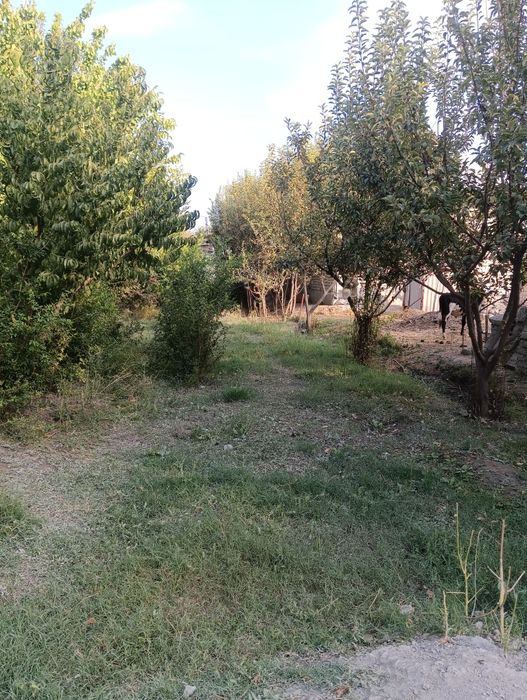 Yir sotiladiSrochna 10 sotix yir maydoni sotiladi