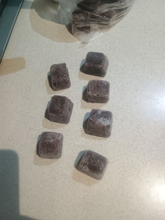 Замразен тубифекс