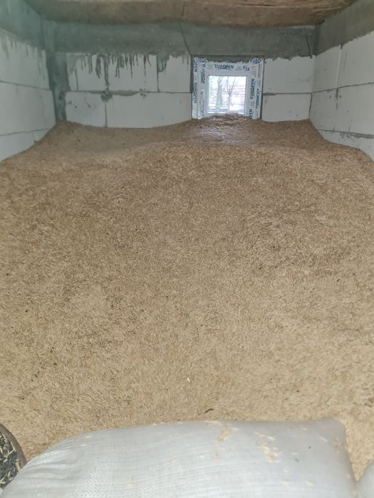 Vând ovaz producție 2025