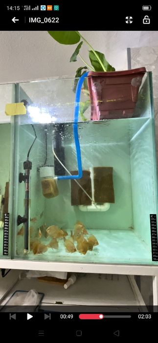 Diskus Blu Daymond Дискус блю даймонд