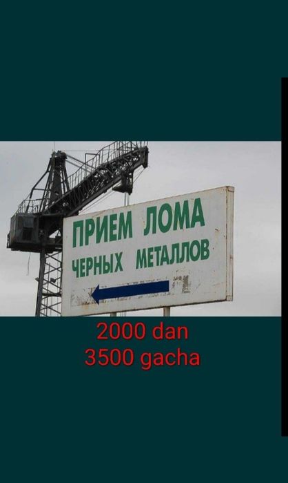 Ок когоз оламиз А4, Тошкент буйлаб 24/7